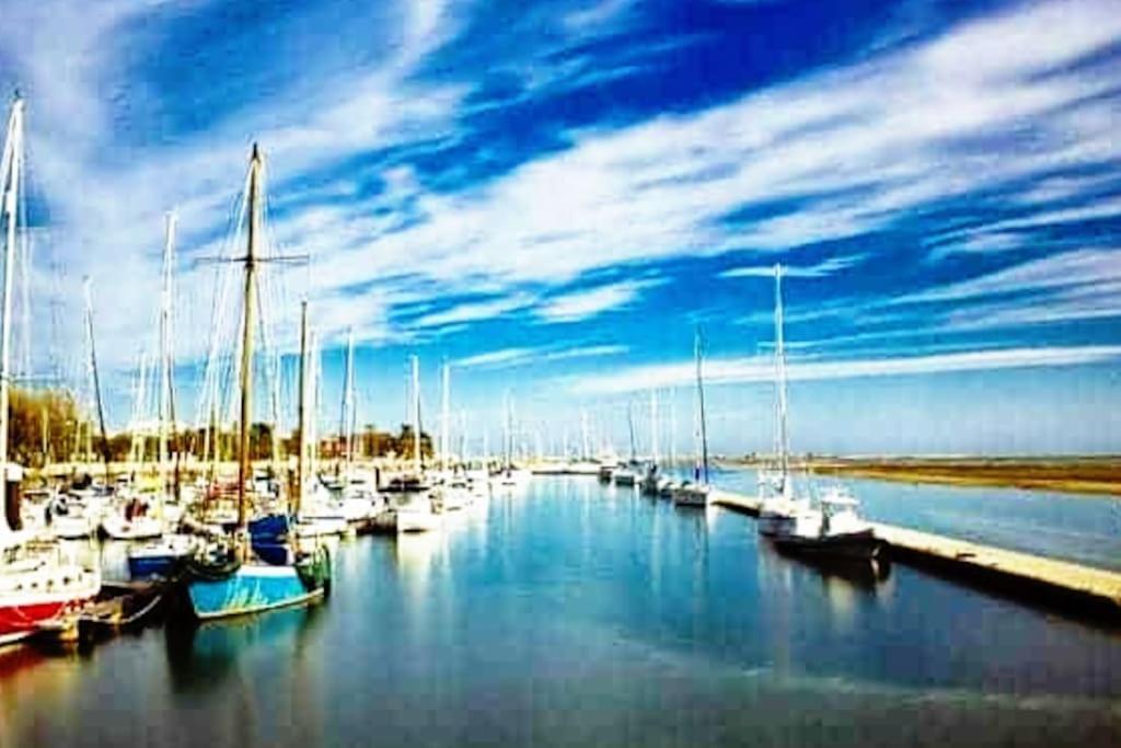 A Gaivota Ria Formosa Waterfront Lux Apart With Pool, Olhao, Algarve Eksteriør bilde