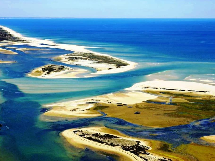 A Gaivota Ria Formosa Waterfront Lux Apart With Pool, Olhao, Algarve Eksteriør bilde